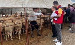 Uşak’ta Bayramda Sıkı Denetim