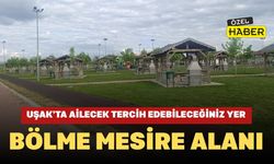 Uşak’ta Ailecek Tercih Edebileceğiniz Piknik Yeri: Bölme Mesire Alanı