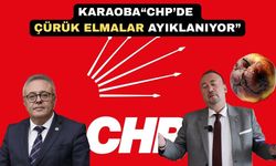 CHP Uşak Milletvekili Karoba Yalım’ı Çürük Elmaya Benzetti
