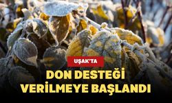 Uşak’ta Don Desteği Verilmeye Başlandı