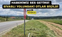 AK Parti Uşak Milletvekili İsmail Güneş; “Otlar Biçildi”