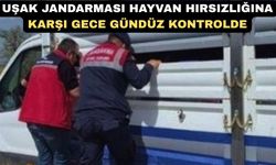 Uşak Jandarması hayvan hırsızlığına karşı tetikte