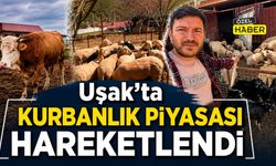 Uşak’ta Kurbanlık Piyasası Hareketlendi