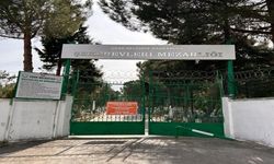 Arefe Gününde Mezarlıklara Ücretsiz Servis Desteği Sağlanacak
