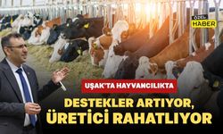 Uşak’ta Hayvancılıkta Destekler Artıyor, Üretici Rahatlıyor