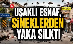 Uşaklı Esnaf Sineklerden Yaka Silkti