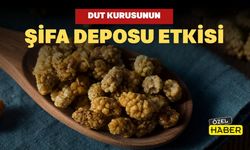 Dut Kurusunun Şifa Deposu Etkisi İlgi Görüyor