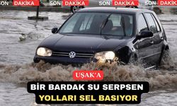 Uşak Bölme Yolunu Yarım saatlik Yağmurda Sel Bastı