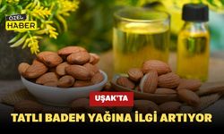 Uşak’ta Tatlı Badem Yağına İlgi Artıyor