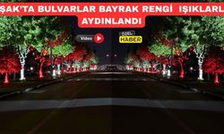 Uşak’ta Ağaçlar Kırmızı-Beyaz Işıklarla Aydınlanıyor