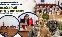 Uşak’ta sahipsiz canlar için olağanüstü toplantı