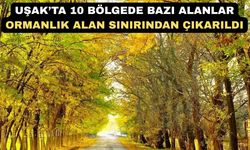 Uşak’ta 10 Bölgede Bazı Alanlar Orman Dışına Çıkarıldı