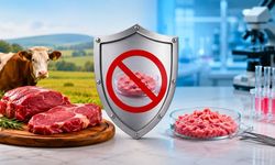 Uşaklılar! Korkmayın Yapay Et Yemeyeceksiniz