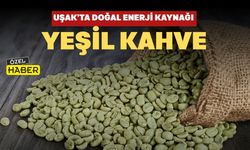 Uşak’ta Doğal Enerji Kaynağı: Yeşil Kahve