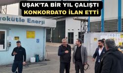 Uşak’ta Biyokütle Enerji Üreten Firma Konkordato İlan Etti