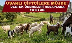 Uşaklı Çiftçilere Müjde: Destek Ödemeleri Hesaplara Yatıyor!