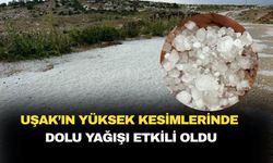 Uşak'ın yüksek kesimlerinde dolu yağışı etkili oldu
