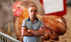 Uşak’ın Beyaz Et Devinden Sevindirici Bir Haber