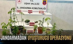 Uşak merkezde esrar ve kenevir yakalandı