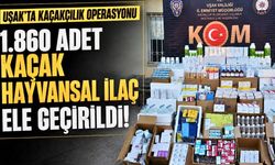 Uşak'ta İlginç Bir KOM Şube Operasyonu