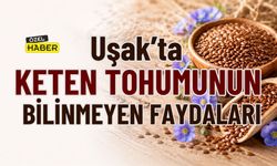 Uşak’ta Keten Tohumunun Bilinmeyen Faydaları