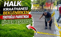 Halk Kıraathanesi Beklenirken Tiritoğlu Parkı’nda Çimler Yeşerecek