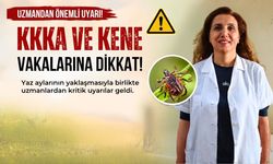 Uzmanından Uşaklılara KKKA ve Kene Uyarısı