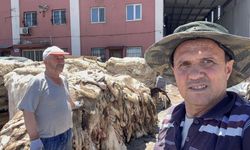 407 Kurban Derisi Toplandı, Muhtarlıktan Önemli Uyarı