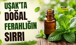 Uşak’ta Doğal Ferahlığın Sırrı