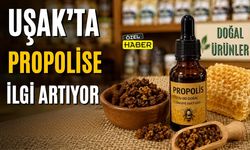 Uşak’ta Propolise İlgi Artıyor