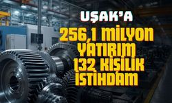 TR33 Bölgesi’nde yatırımlarda Uşak 256,1 milyon TL aldı