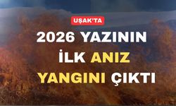 Uşak’ta 2026 yazının ilk anız yangını çıktı