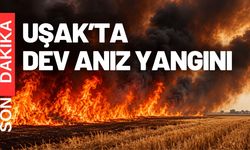 Uşak’ta Çok büyük bir anız yangını başladı