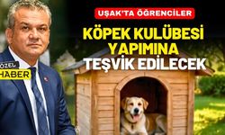 Uşak’ta öğrenciler köpek kulübesi yapımına teşvik edilecek
