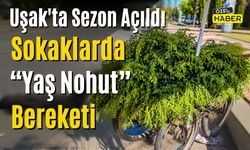 Uşak’ta Sezon Açıldı: Sokaklarda “Yaş Nohut” Bereketi