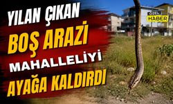 Yılan Çıkan Boş Arazi Mahalleliyi Ayağa Kaldırdı