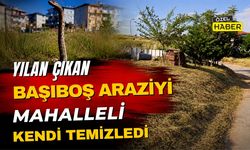 Yılan Çıkan Başıboş Araziyi Mahalleli Kendi Temizledi