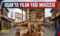 Uşak’ta Yılan Yağı Mucizesi