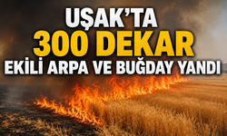 Uşak’ta 300 dekar ekili arpa ve buğday yandı