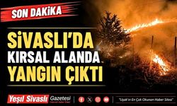 Uşak’ta Kırsal Alanda Yangın; 10 dönüm ağaçlık alan yandı