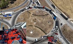 İzmir-Uşak karayolu domatesle kaplandı