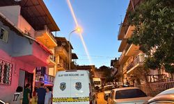 Uşak'ta dut toplamak isterken canından oldu