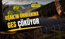 “Uşak’ın altını ve suyu gitti sıra ormanlarına mı geldi?”