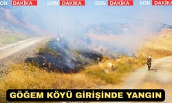 Uşak'ta Bir Köy Daha Alevlere Teslim Oluyordu