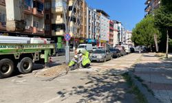 Uşak’ın Bu Caddesinde Gün Boyu Elektrik Yok