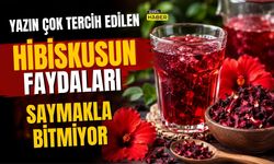 Yazın Çok Tercih Edilen Hibiskusun Faydaları Saymakla Bitmiyor