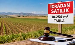 Uşak'ta 10 Dönümlük Tarla İcradan Satışa Çıkarıldı
