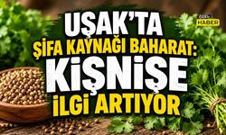 Uşak'ta Şifa Kaynağı Baharat: Kişnişe İlgi Artıyor