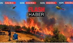 Uşak’ın Karahallı İlçesinde Orman Yangını