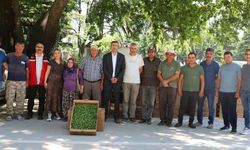 Uşak'ta Çiftçiye Dev Destek 255 Bin Sebze Fidesi Dağıtıldı